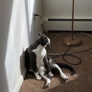 Meet your Posher, Anneanne